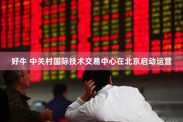 好牛 中关村国际技术交易中心在北京启动运营