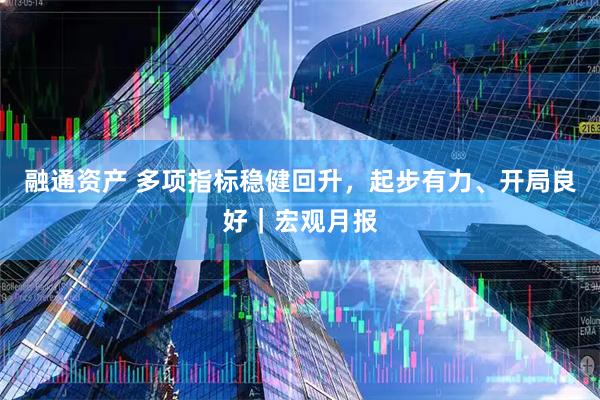 融通资产 多项指标稳健回升，起步有力、开局良好｜宏观月报
