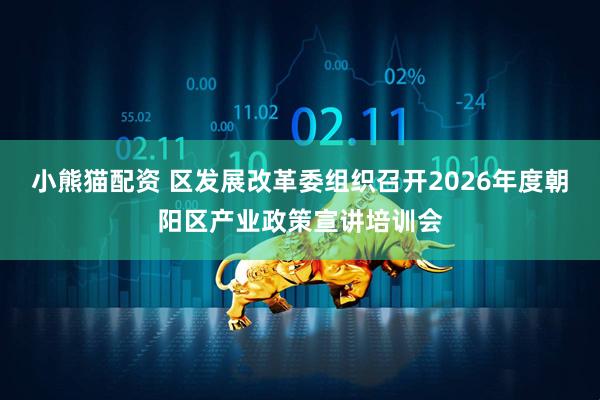 小熊猫配资 区发展改革委组织召开2026年度朝阳区产业政策宣讲培训会