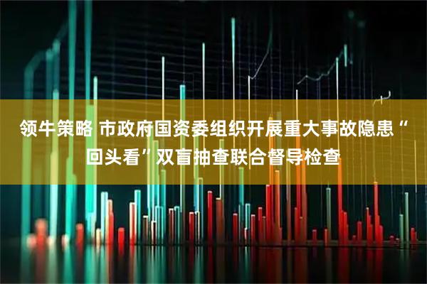 领牛策略 市政府国资委组织开展重大事故隐患“回头看”双盲抽查联合督导检查