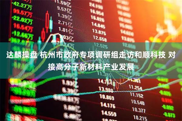 达麟操盘 杭州市政府专项调研组走访和顺科技 对接高分子新材料产业发展