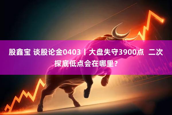 股鑫宝 谈股论金0403丨大盘失守3900点 二次探底低点会在哪里?