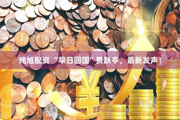 纯旭配资 “早日回国”贾跃亭,最新发声!