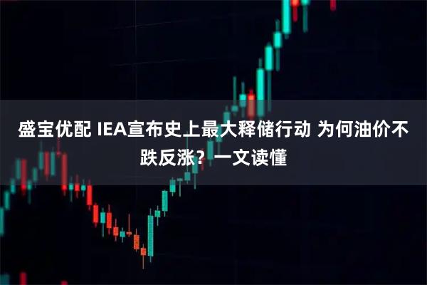 盛宝优配 IEA宣布史上最大释储行动 为何油价不跌反涨？一文读懂
