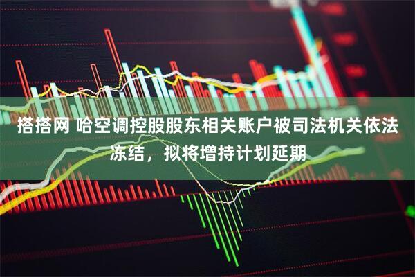 搭搭网 哈空调控股股东相关账户被司法机关依法冻结，拟将增持计划延期