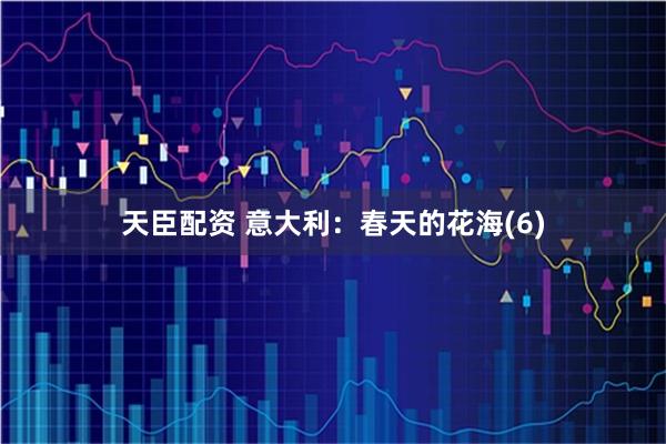 天臣配资 意大利：春天的花海(6)