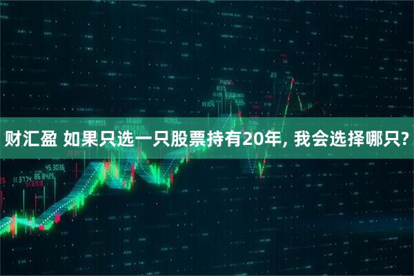 财汇盈 如果只选一只股票持有20年, 我会选择哪只?
