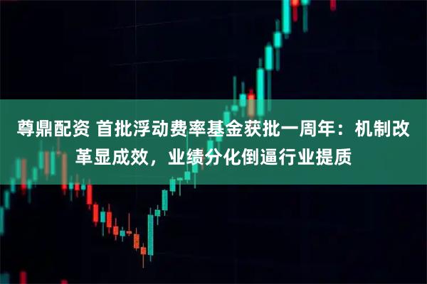尊鼎配资 首批浮动费率基金获批一周年：机制改革显成效，业绩分化倒逼行业提质
